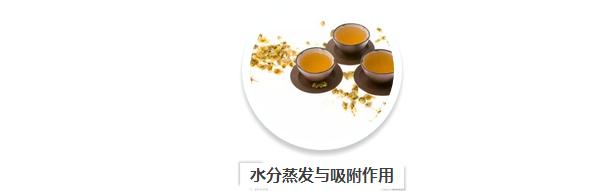 茶理王|茶之吸附：香与水的较量