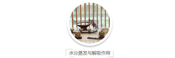 茶理王|茶之吸附：香与水的较量
