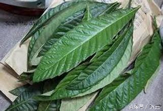 秋天感冒发烧喉咙痛应该怎么办,秋季感冒喉咙痛最快最好方法