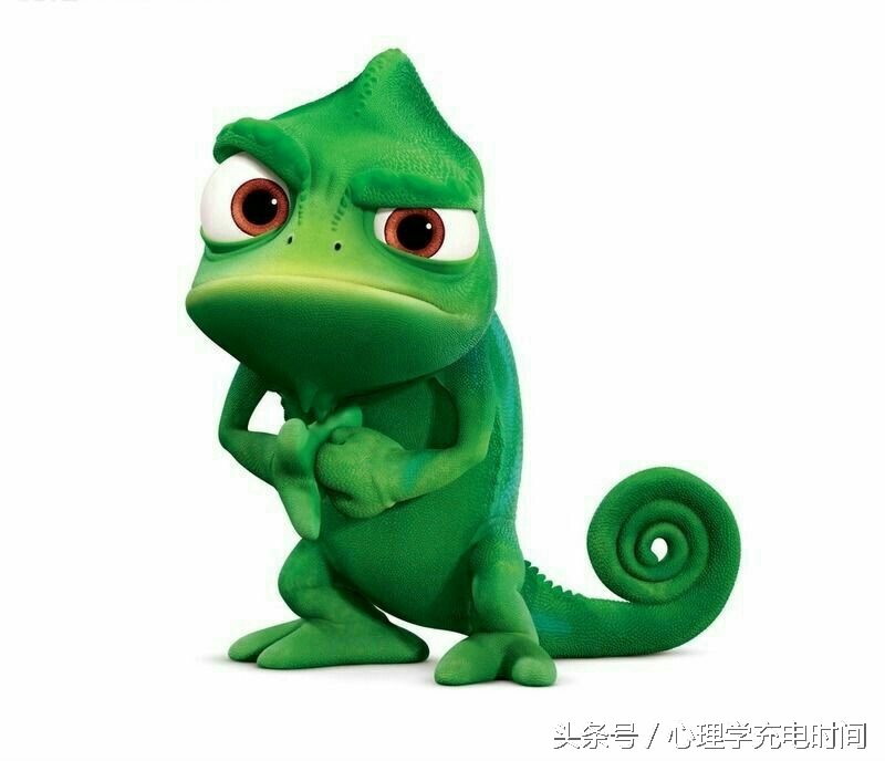 你最喜欢哪一种动物,选择一种动物看出你的性格