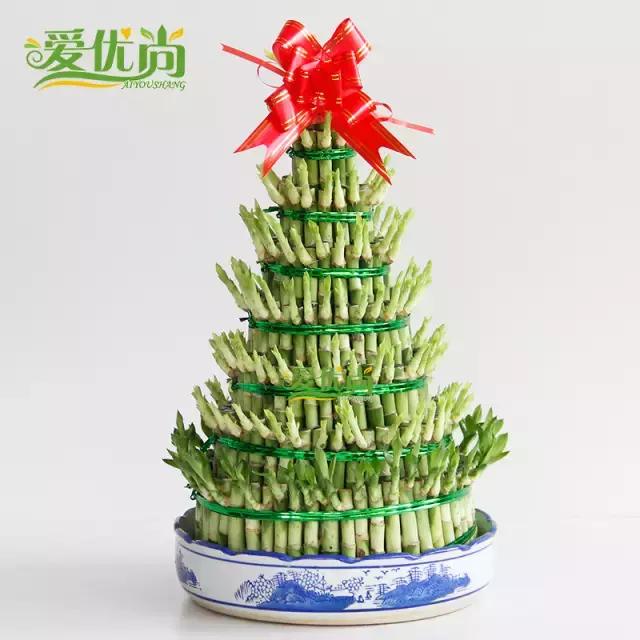 超实用水培植物怎么养,最适合懒人养的4种水培植物