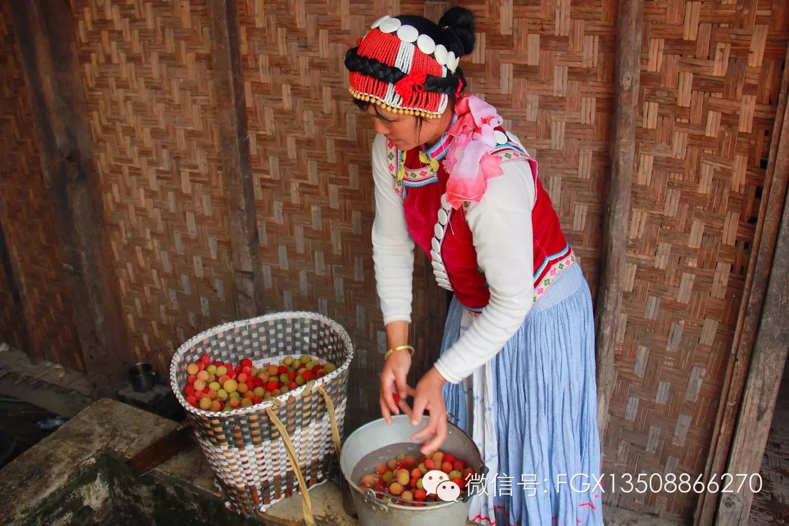 山里野生的杨梅你吃过吗,杨梅佳酿你们喝过吗