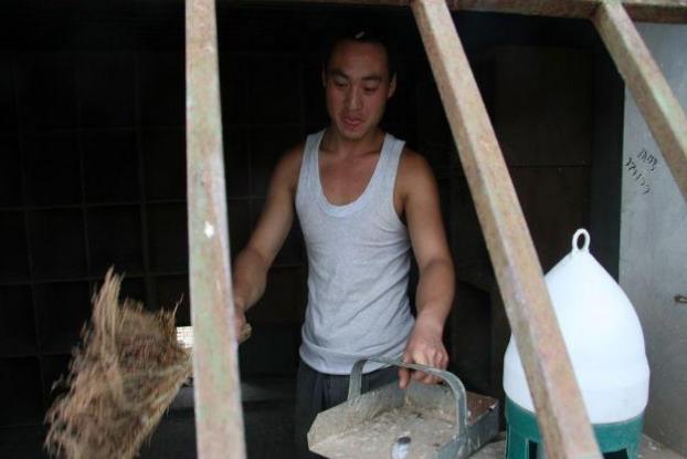 牡丹鹦鹉单眼伤风最明显症状,关于单眼伤风和普通眼病的区别