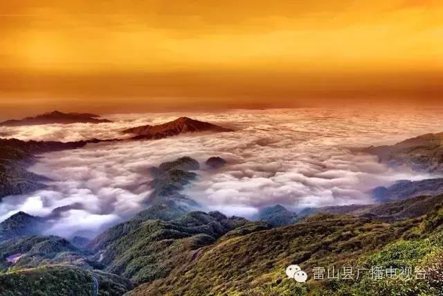 享用大自然的气息天然氧吧,享用大自然呼吸天然氧