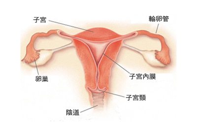 这个女人老中枪，你中了吗？