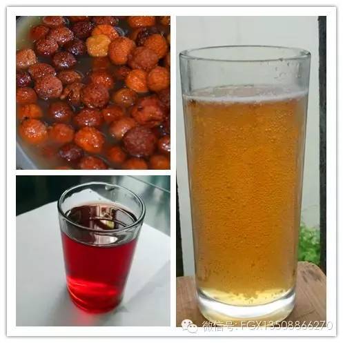 山里野生的杨梅你吃过吗,杨梅佳酿你们喝过吗