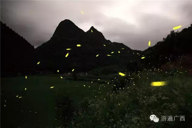 广西乐业出现神秘萤火之光，堪比美国大片！