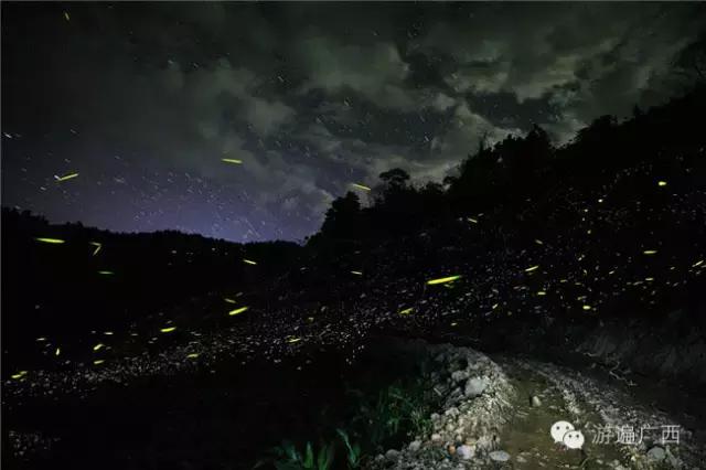 广西乐业出现神秘萤火之光，堪比美国大片！