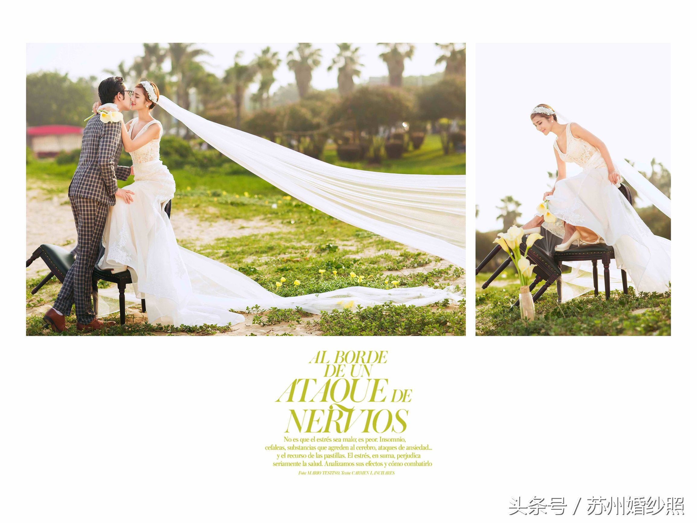 拈一朵落花，执笔写意人生