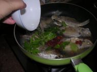 白鲳鱼和肉鲳鱼,白鲳鱼和肉鲳鱼哪种好