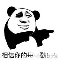 适合学生养的1元宠物,双鱼座适合养什么宠物