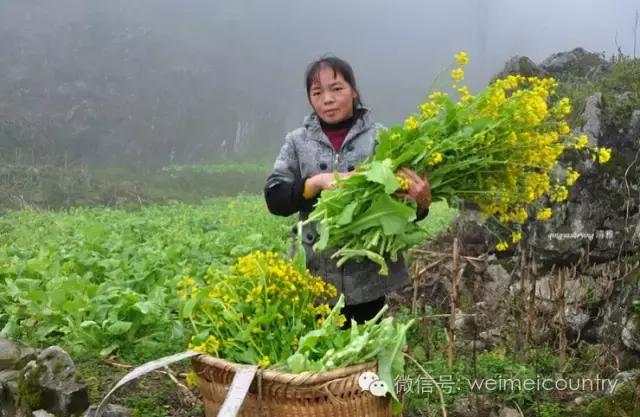 中国惊现桃花源！20户人与世隔绝美国人为其捐款通电