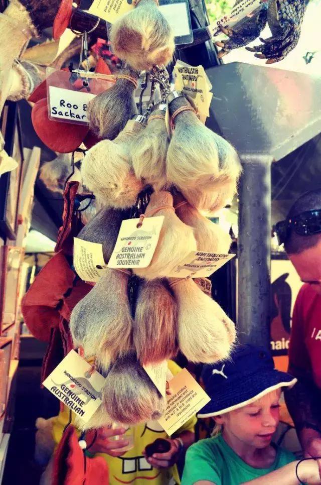 去澳洲买什么伴手礼,澳洲特产伴手礼