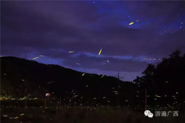 广西乐业出现神秘萤火之光，堪比美国大片！