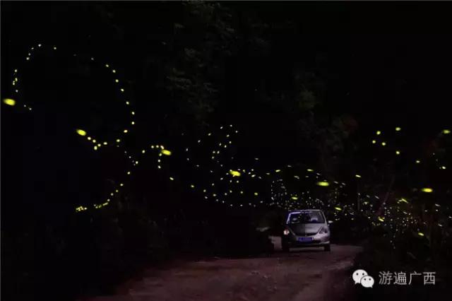广西乐业出现神秘萤火之光，堪比美国大片！