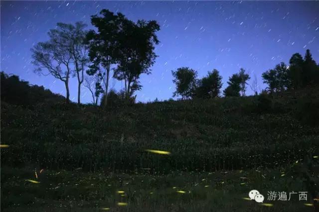 广西乐业出现神秘萤火之光，堪比美国大片！