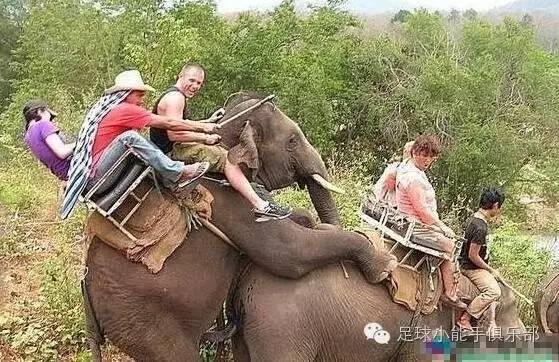 欧联杯西汉姆联vs塞维利亚,阿尔克马尔vs西汉姆联各方战意