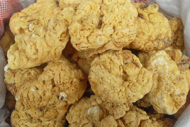 盘点奇怪的中药,中国最厉害的国宝级中药