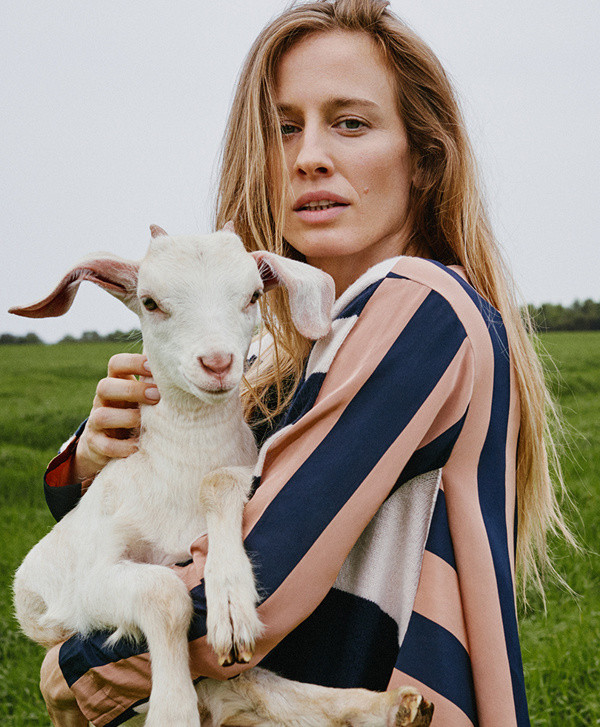 羊绒面料价格最贵多少,正宗的羊绒多少钱一斤啊