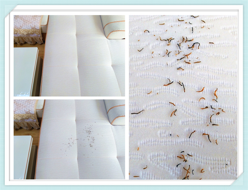 宝家丽吸尘除螨仪,除螨仪吸尘器选哪一款好