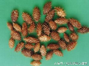 老中医治疗鼻炎的秘方,国家级老中医治疗鼻炎秘方