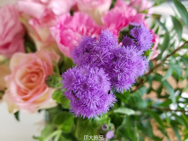 三星note7王者光荣测评,三星note7机皇