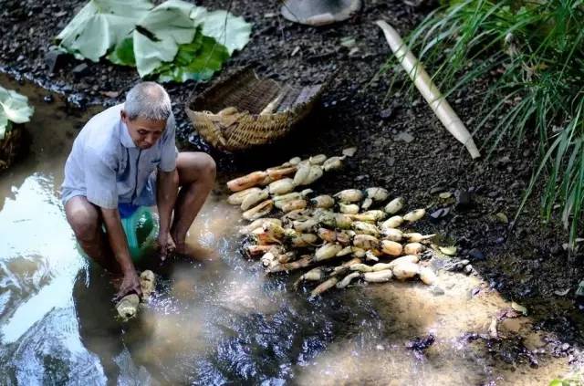不需要签证的最美海岛,最美海岛免签的地方