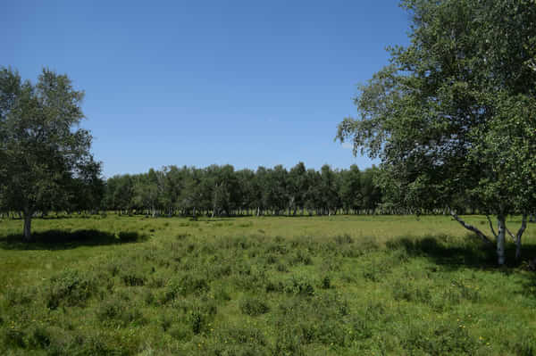 北京北戴河锡林郭勒自驾游,北京和锡林郭勒旅游攻略