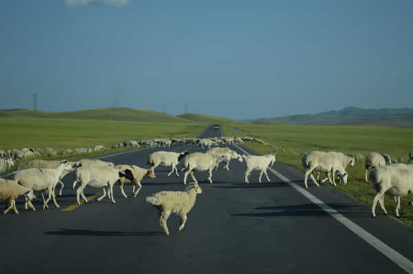 北京北戴河锡林郭勒自驾游,北京和锡林郭勒旅游攻略