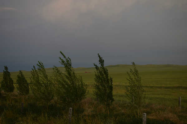 北京北戴河锡林郭勒自驾游,北京和锡林郭勒旅游攻略