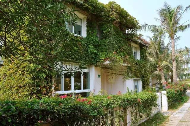 不需要签证的最美海岛,最美海岛免签的地方