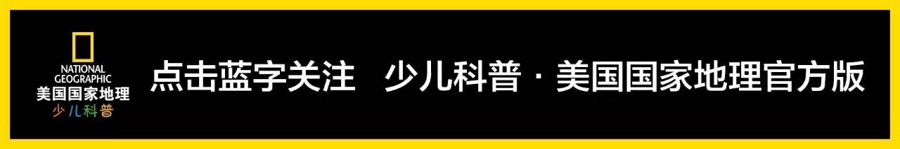 当放生变成一场生存游戏