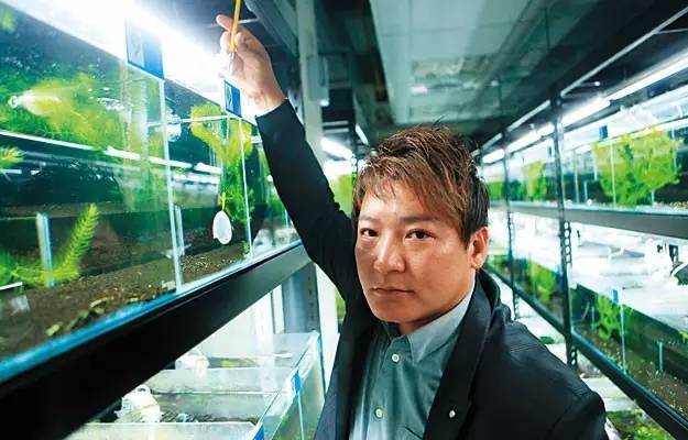 世界第一大淡水鱼类排名,世界第一淡水观赏鱼有哪些