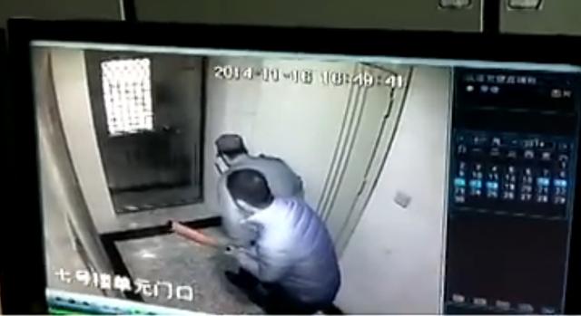 某小区业主打流浪狗,物业打小区流浪狗