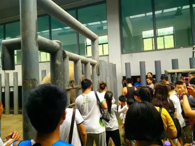 晚上注定是个不平凡的夜晚铃声,这个夜注定要不平凡