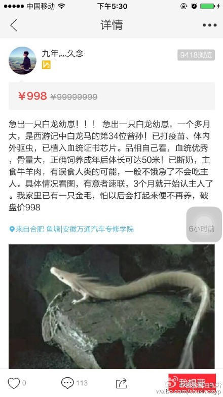 闲鱼上的套路与骗术,闲鱼要卖家发物流什么套路