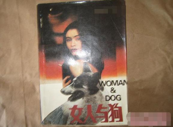 爱狗人与打狗队发生打架,爱狗与虐狗