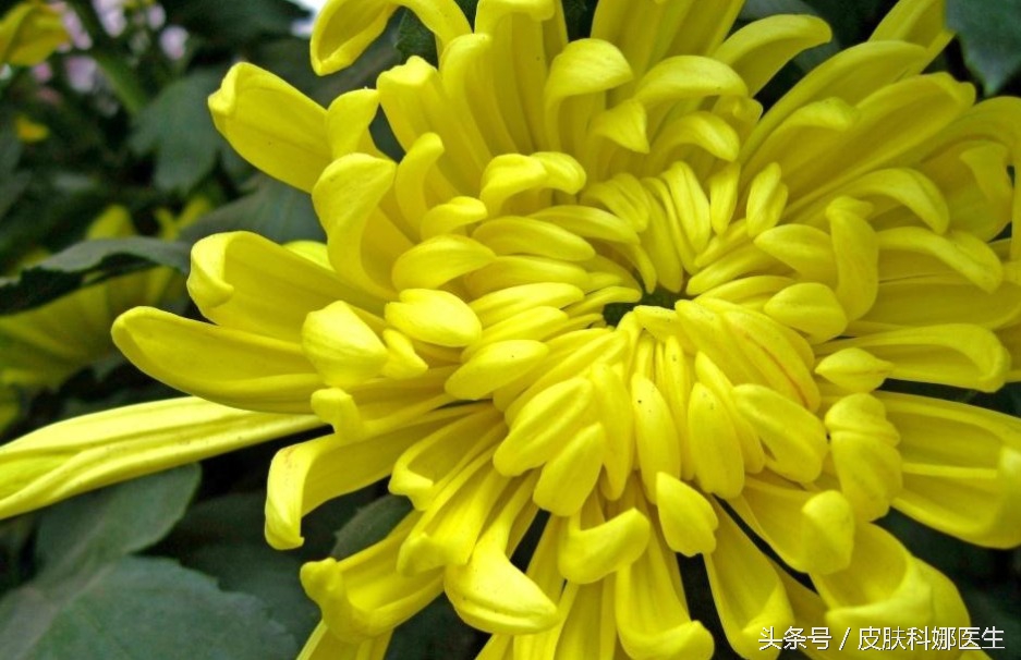 喝补肝肾的中药能喝酒吗,祛湿的中药对肝和肾伤害大吗