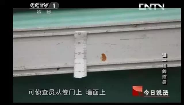 无名女尸被误判,无名女尸被确认真相