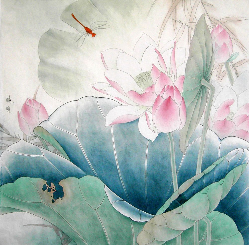 工笔粉红荷花教程,工笔荷花画法入门