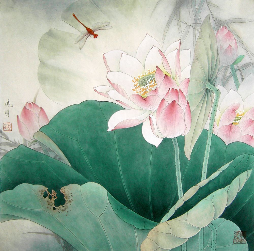 工笔粉红荷花教程,工笔荷花画法入门