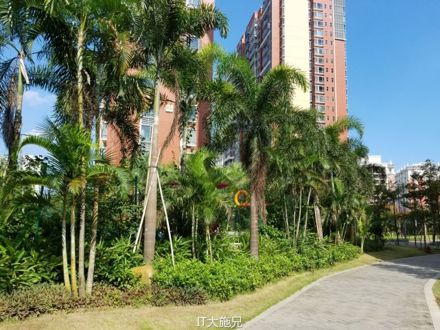 三星note7王者光荣测评,三星note7机皇