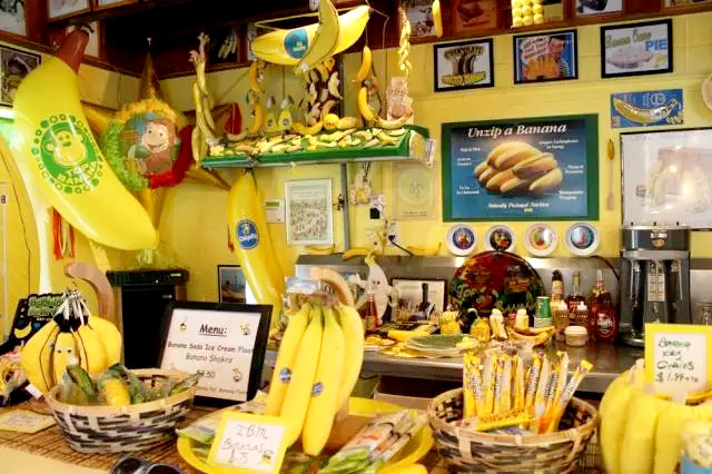 餐饮品牌│餐饮红海另辟独径，这9家美食博物馆大获成功