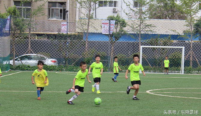 东晓足球,临沂绿荫足球俱乐部电话