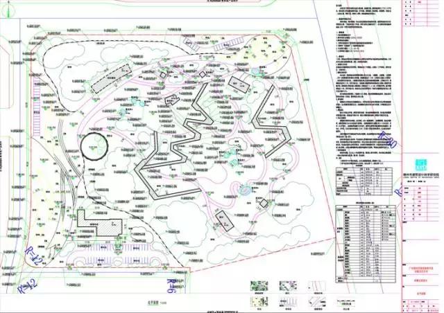 柳州哪个公园有足球场,柳州新建紫荆花公园