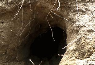 妹纸，下次跑步的时候把裤子弄紧（song）一点啊