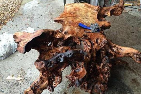 老树根自制茶台图片,绿化带捡的普通树根做茶台