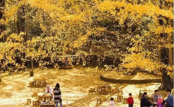 旅行中不期而遇的美好瞬间,旅行遇见一路风景山美水美