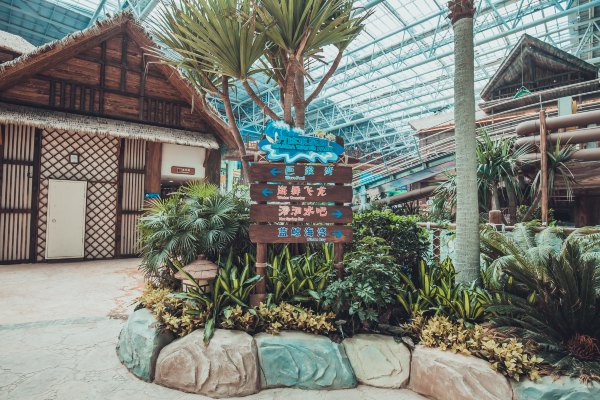 合肥青年旅游团,合肥旅游团迪士尼