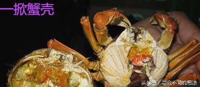 螃蟹怎么挑选公还是母,怎么挑公螃蟹和母螃蟹